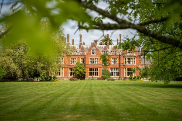 The grounds